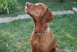 Brown Dog Collar  - perro collective